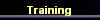  Training 