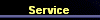  Service 
